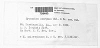 Image Associated With the Occurence
